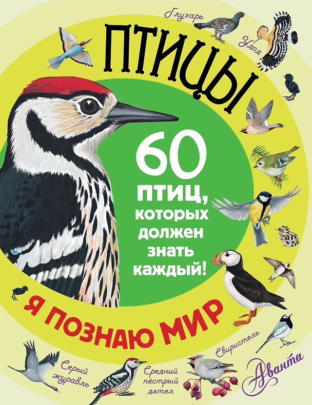 Книга Птицы () — 1
