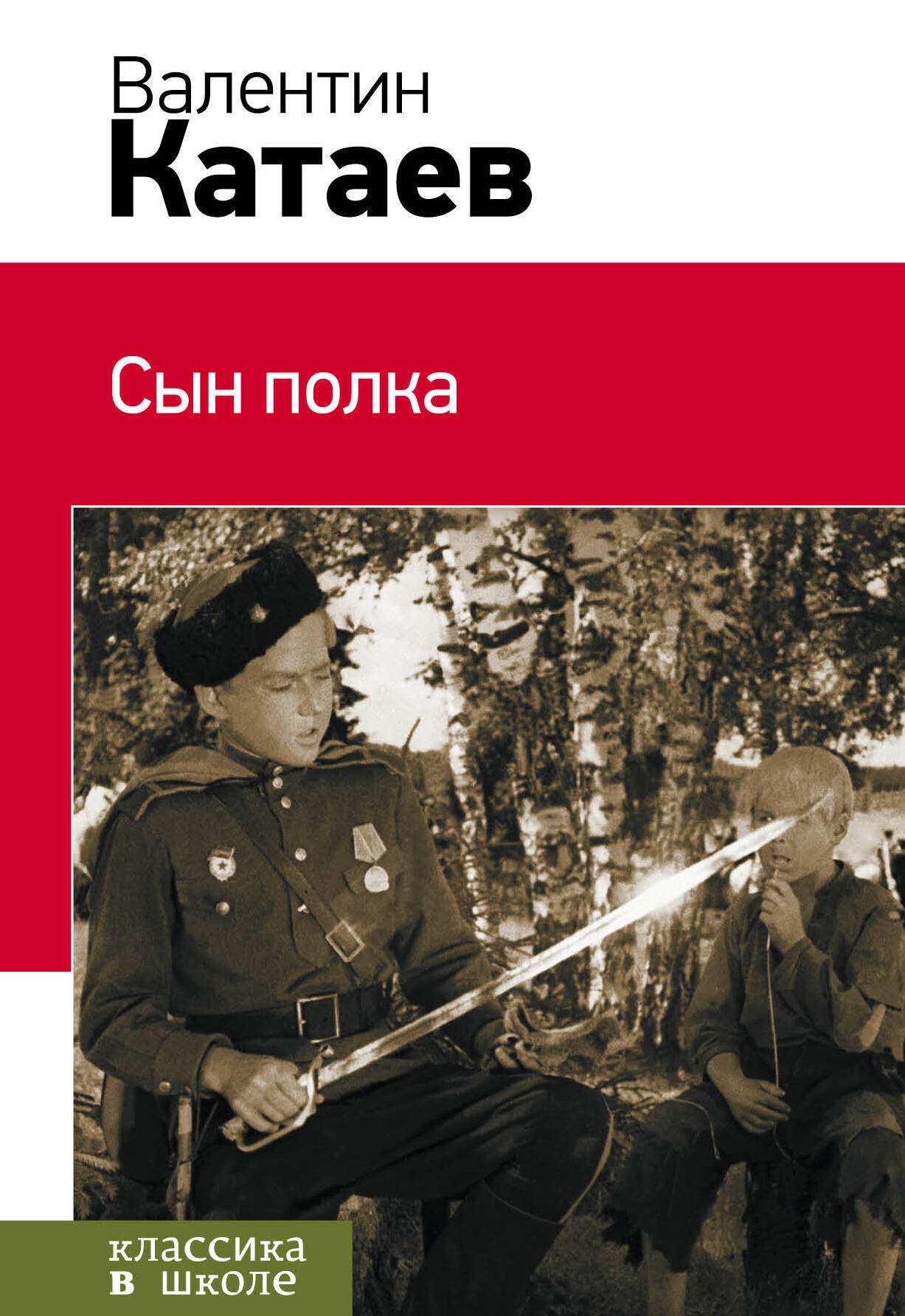 

Сын полка