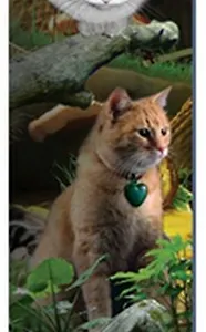 Закладка 3D 72 (Мир открытий)