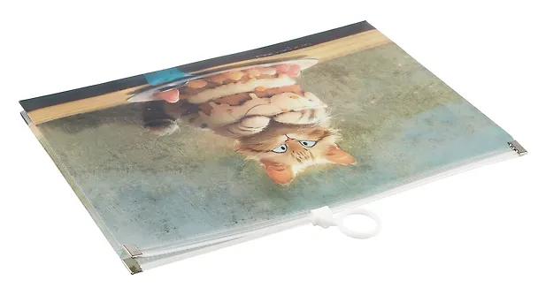 Папка на молнии А5 «Sweet cat», Be positive 3024992 — 2