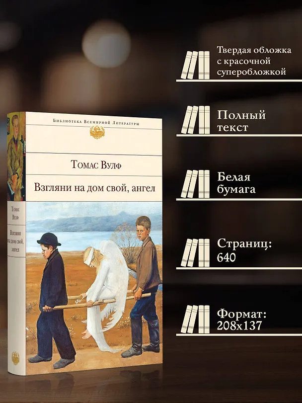 Книга Взгляни на дом свой, ангел (Томас Вулф) — 7