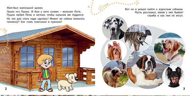 Книга Комплект "Окошко в мир" (комплект из 5 книг) (Э. Наставник) — 6