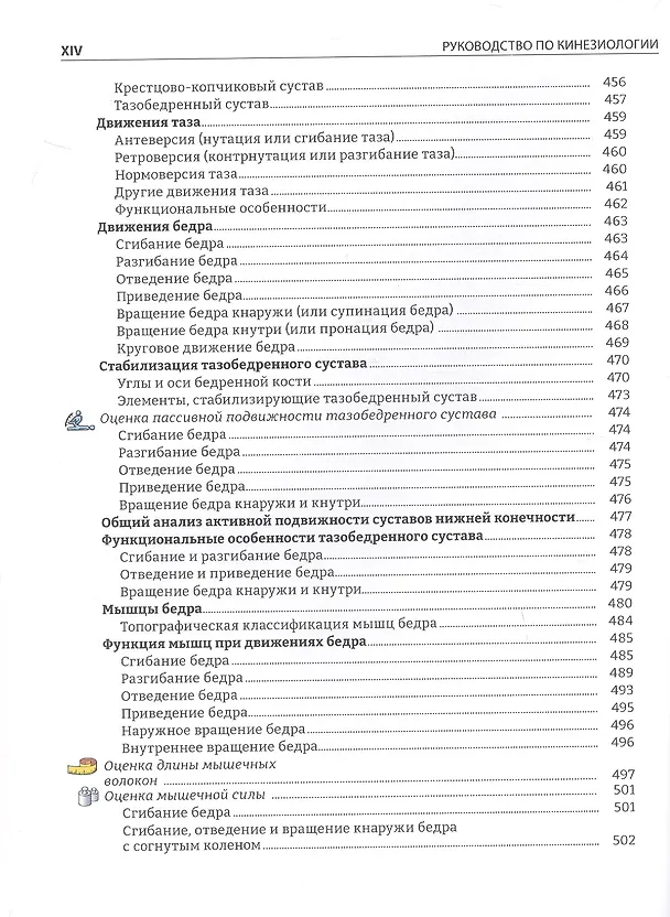 Книга Руководство по кинезиологии. Функциональная анатомия. Биомеханика. Оценка состояния суставов и мышц (Винченцо Пирола) — 17