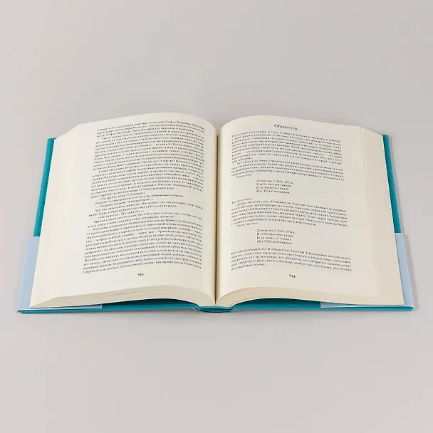 Книга Петербург (Андрей Белый) — 16