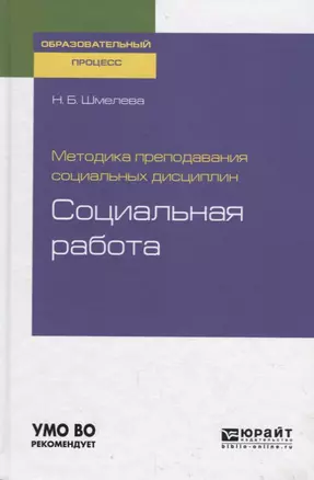 Методика преподавания социальных дисциплин: социальная работа. Учебное пособие для бакалавриата и магистратуры — 2735360 — 1