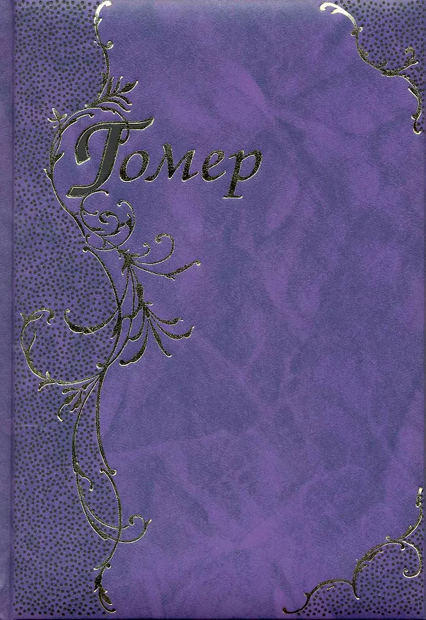 Книга Илиада. Одиссея (Гомер) — 1