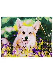 Набор д/творчества Рыжий кот Холст с красками 30х40см по номерам (в коробке) (20цв.) Корги в траве Х-2917