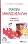 Основы микробиологии. Учебник и практикум для СПО — 2608424 — 1