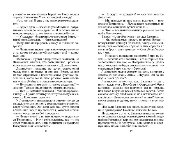 Книга Восход солнца (Эрин Хантер) — 9