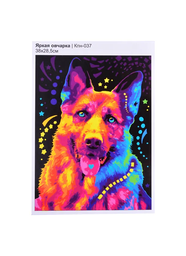 Кпн-037 Картина по номерам Яркая овчарка (ПочСебяХуд) (38х28,5 см) (коробка) (LORI) 2853925 — 1