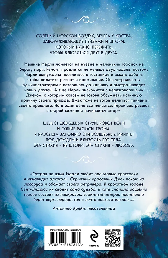 Книга Когда приходит шторм (Карина Шнелль) — 2