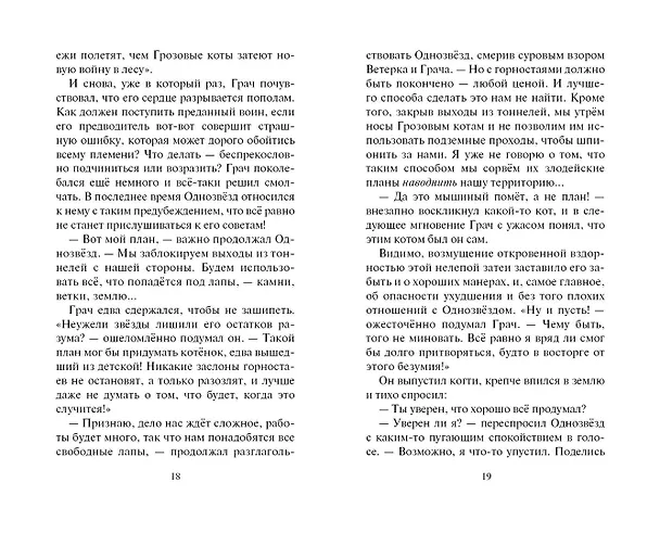 Книга Испытание Грача. Книга 2. Прощение (Эрин Хантер) — 10
