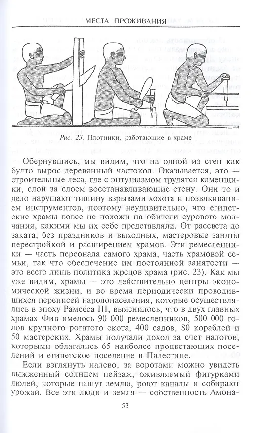 Книга Боги и люди Древнего Египта (Джон Мэнчип Уайт) — 5