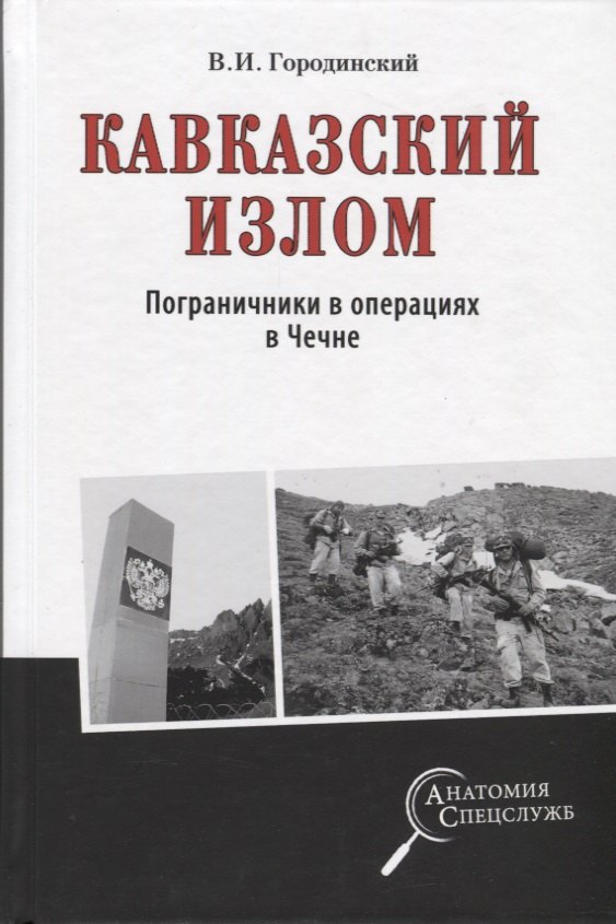 Кавказский излом. Пограничники в операциях в Чечне