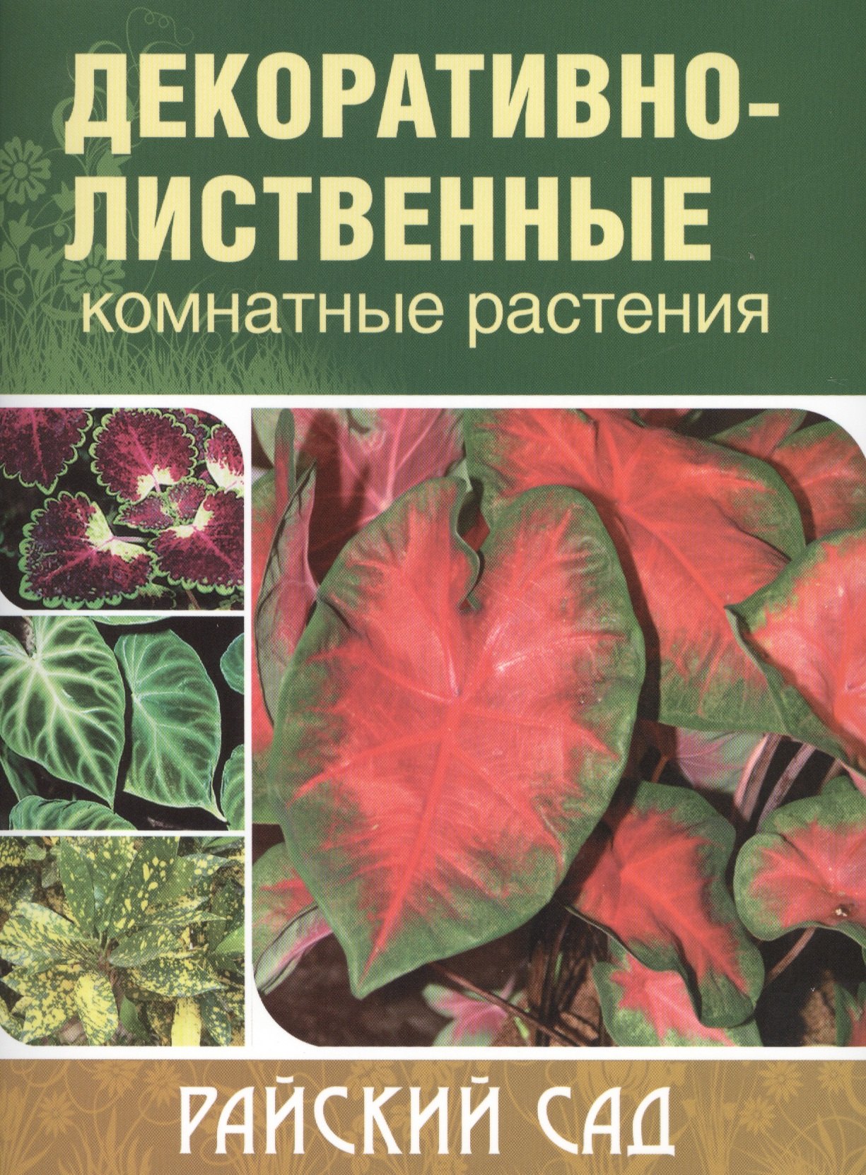 

Декоративно-лиственные комнатные растения. / 2-е изд.