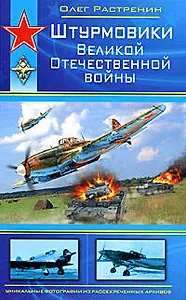 Штурмовики Великой Отечественной войны