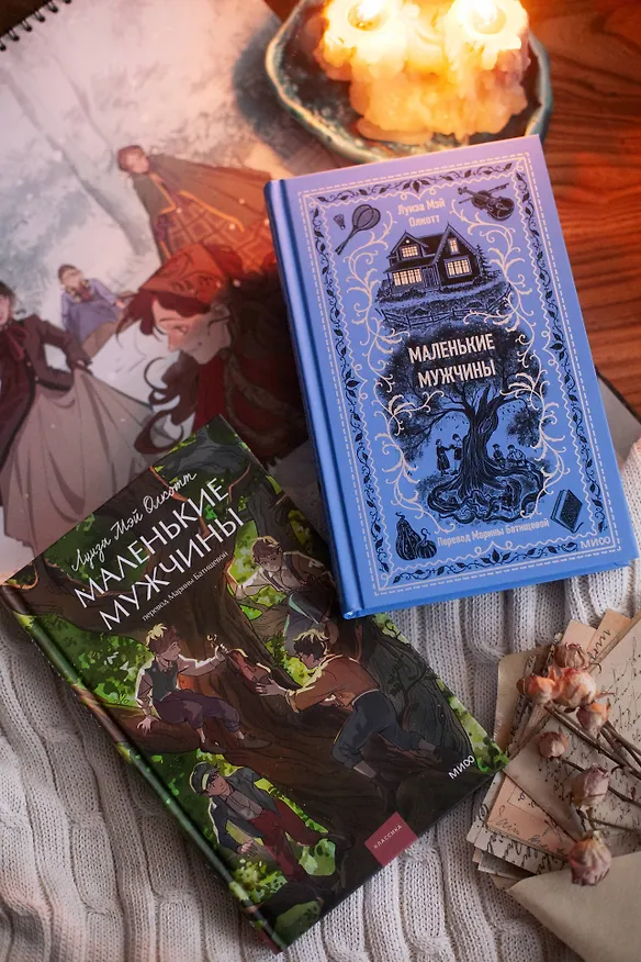 Книга Маленькие мужчины (Луиза Мэй Олкотт) — 14