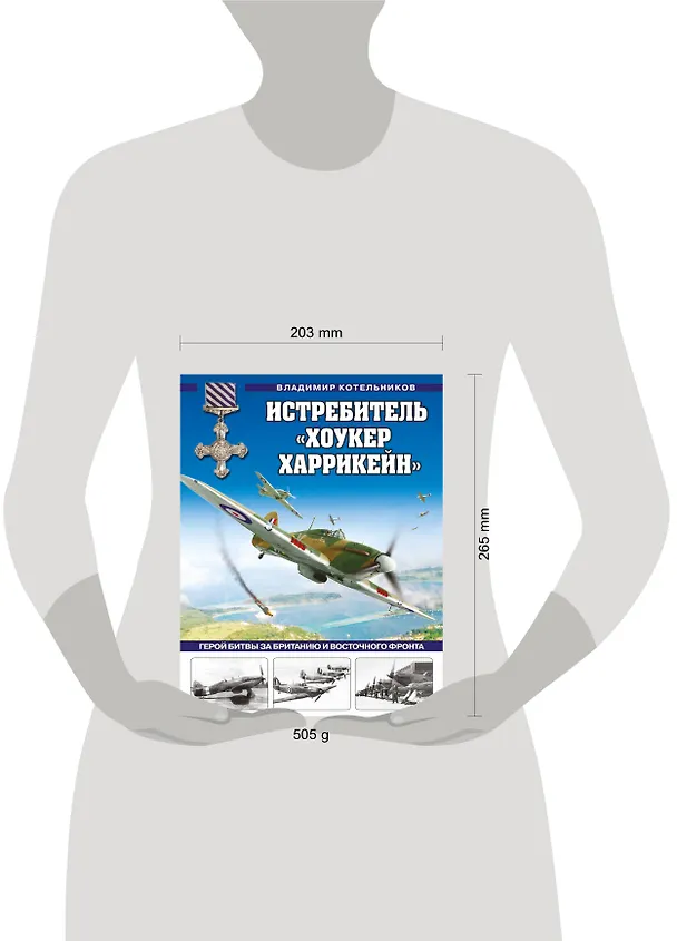 Книга Истребитель «Хоукер Харрикейн». Герой Битвы за Британию и Восточного фронта (Владимир Котельников) — 5