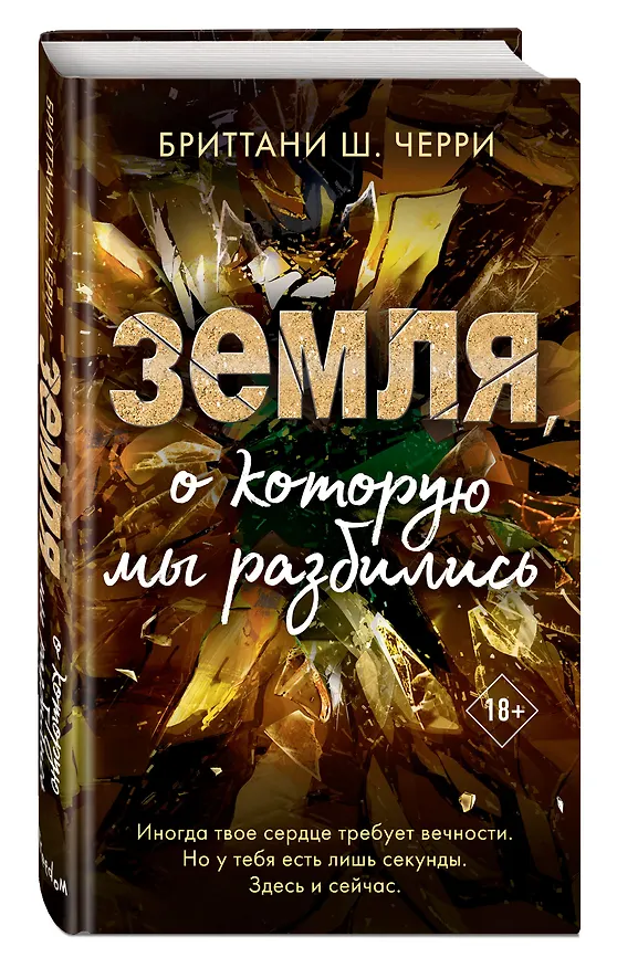 Книга Земля, о которую мы разбились (Бриттани Ш. Черри) — 5