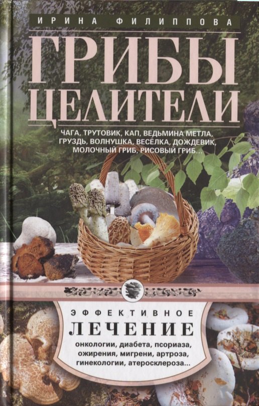 

Грибы-целители. Чага, трутовик, кап, ведьмина метла, груздь, волнушка, веселка, дождевик, молочный гриб, рисовый гриб
