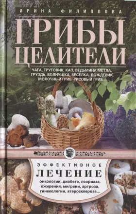 Грибы-целители. Чага, трутовик, кап, ведьмина метла, груздь, волнушка, веселка, дождевик, молочный гриб, рисовый гриб — 2639554 — 1