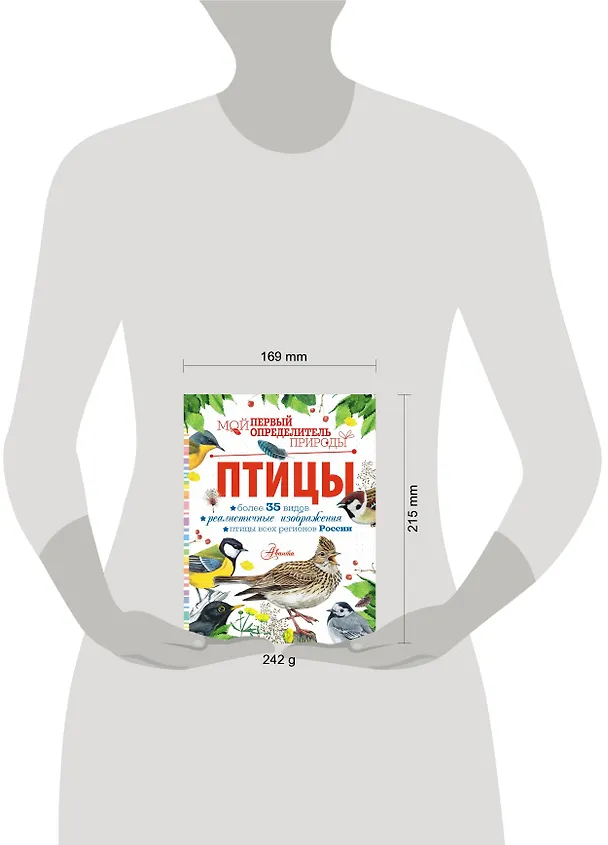 Книга Птицы (Мария Рахчеева) — 12