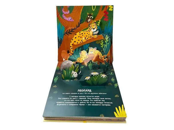 Книга Животные. Pop-up панорамка с крупными буквами () — 15