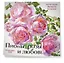 Пионы, розы и любовь. Календарь настенный на 2026 год (300х300 мм) — 3120733 — 2