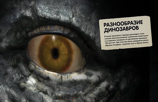 Книга Всё о динозаврах (Букс Паррагон) — 9