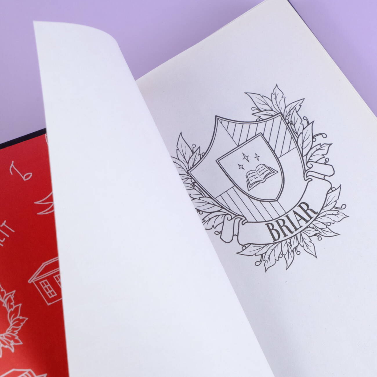 Изображение бумажной книги