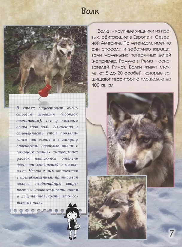 Книга Живой мир природы. Европа (Василий Климов) — 4