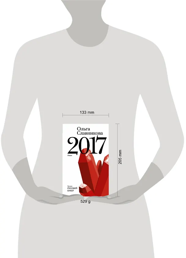 Книга 2017: роман (Ольга Славникова) — 4