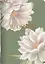 Тетрадь общая «Blossom. Лотос», 48 листов в клетку, А5 - Be Smart — 3151115 — 1
