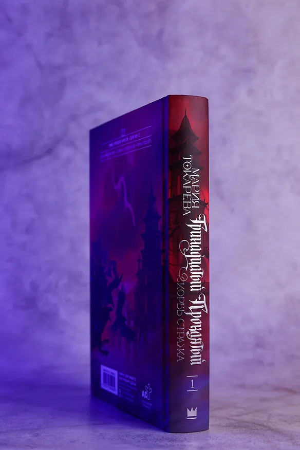 Книга Тринадцатый Проклятый. Скорбь Стража (Мария Токарева) — 10