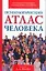 Психологический атлас человека — 2095402 — 1