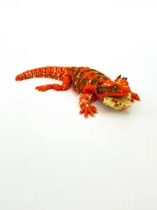 Фигурка 3D Бородатая ящерица_3 (3009195) (11х23)