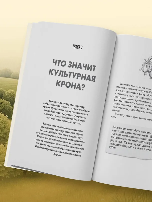 Книга Обрезка и формировка деревьев и кустарников (Николай Курдюмов) — 11
