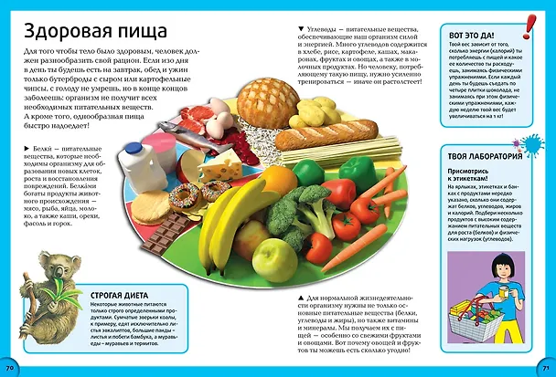 Книга Всё о теле человека () — 3