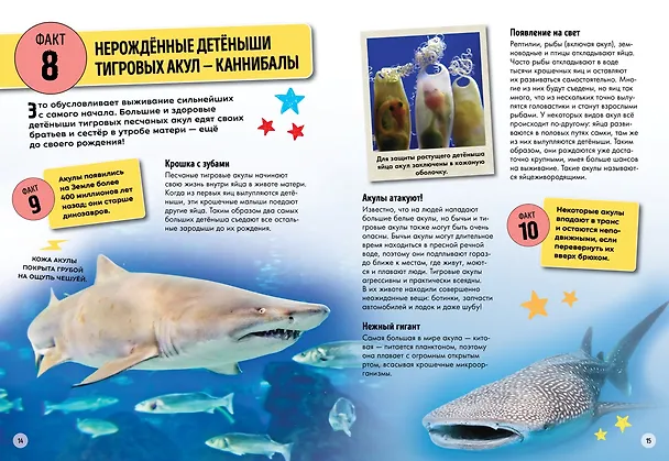 Книга Всё об окружающем мире с научной точки зрения (Лайза Риган) — 4