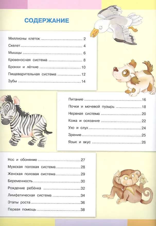 Книга Тело человека. Моя первая энциклопедия с наклейками (Элеонора Барсотти) — 2