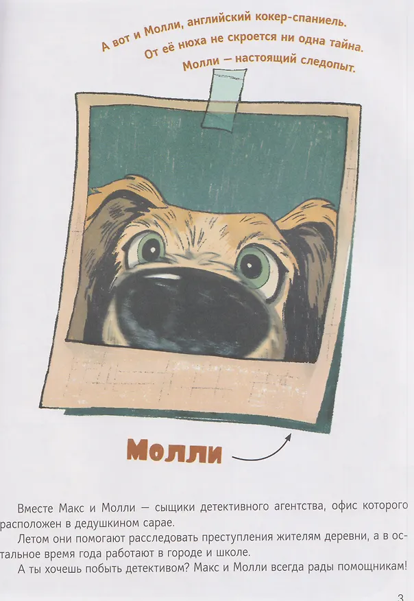 Книга Детективное агентство "Макс и Молли" (Александра Хворост) — 3