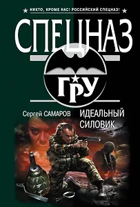 Идеальный силовик: роман