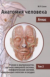 Анатомия человека. Атлас. В 3 т. Т. 2: Учение о внутренностях, органах имунной системы, лимфатической системе
