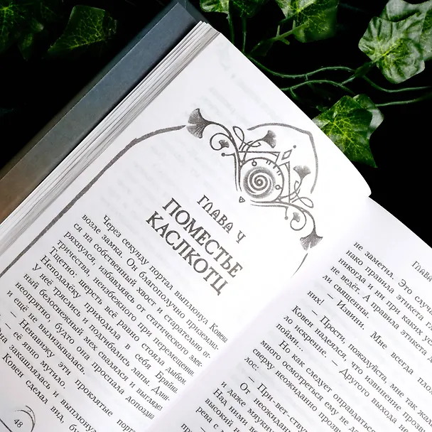 Книга Поместье Каслкотц. Иномирье просыпается (Ален Т. Пюиссегюр) — 18