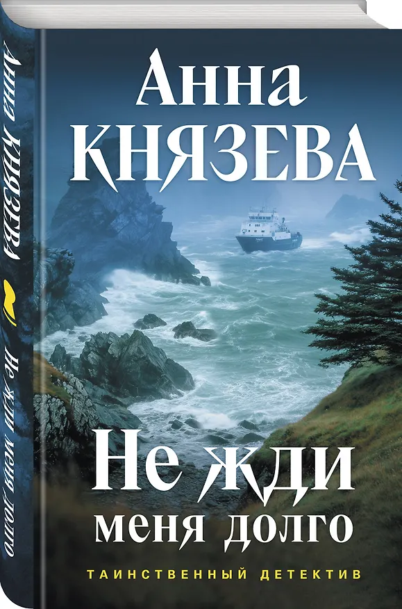 Книга Не жди меня долго (Анна Князева) — 4
