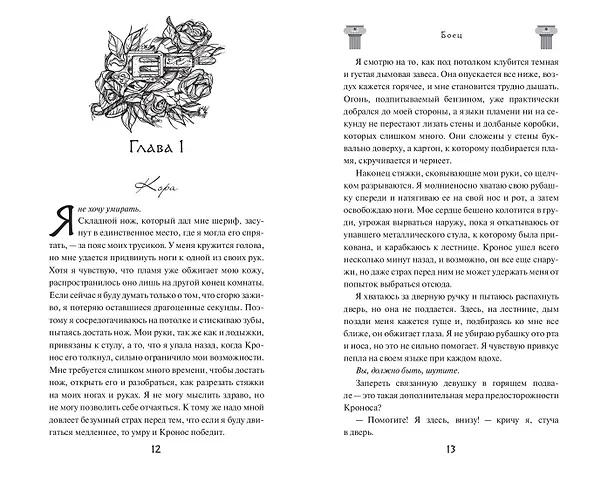 Книга Боец (#2) (С. Массери) — 6