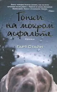 Гонки на мокром асфальте