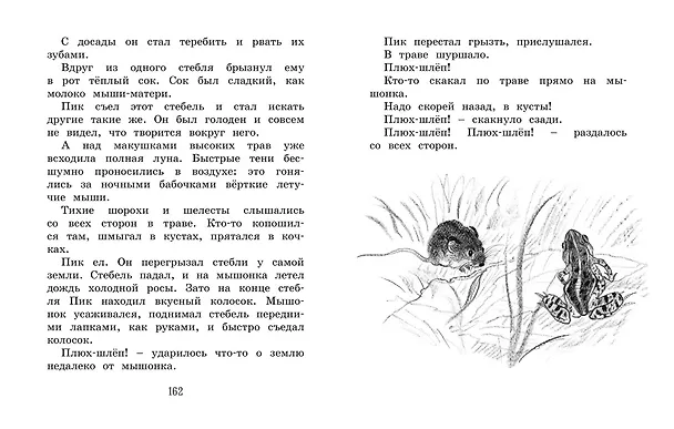 Книга Лесные сказки и рассказы (иллюстр. Е. Рачёва) (Виталий Бианки) — 4