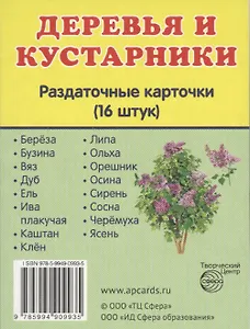 Деревья и кустарники. 16 раздаточных карточек с текстом