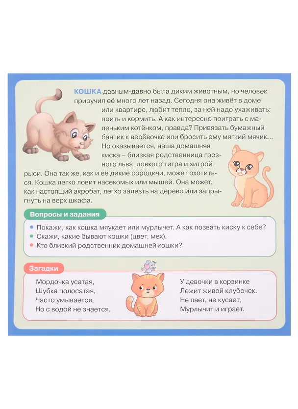 Книга Развивающие карточки для детей. Домашние животные (20 карточек) () — 4